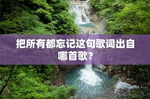 把所有都忘记这句歌词出自哪首歌？