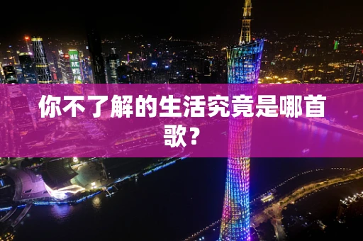 你不了解的生活究竟是哪首歌？