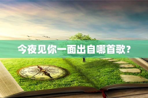 今夜见你一面出自哪首歌？