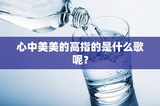 心中美美的高指的是什么歌呢？