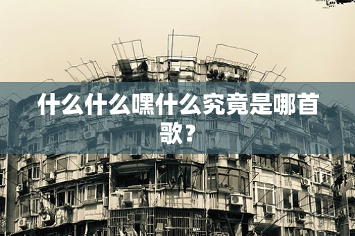 什么什么嘿什么究竟是哪首歌？