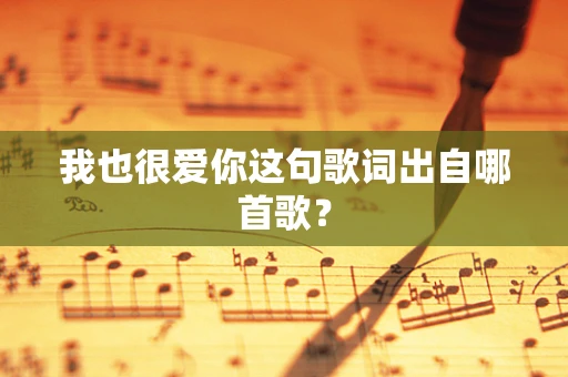 我也很爱你这句歌词出自哪首歌？