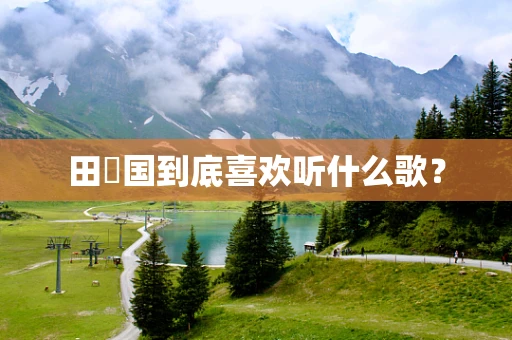 田柾国到底喜欢听什么歌？