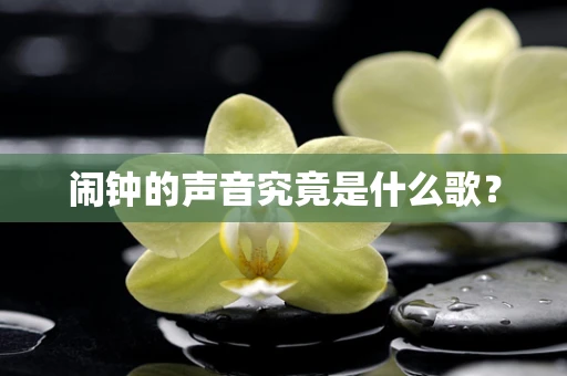闹钟的声音究竟是什么歌？