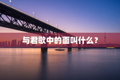 与君歌中的面叫什么？