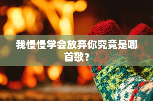 我慢慢学会放弃你究竟是哪首歌？