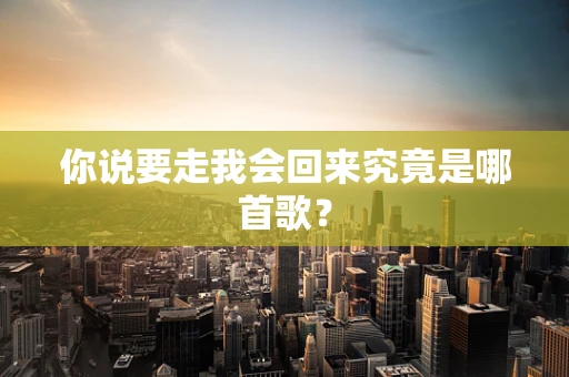 你说要走我会回来究竟是哪首歌？