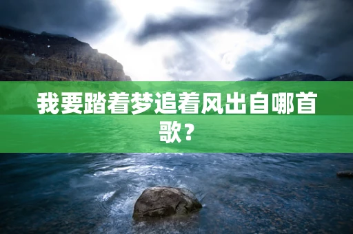 我要踏着梦追着风出自哪首歌？