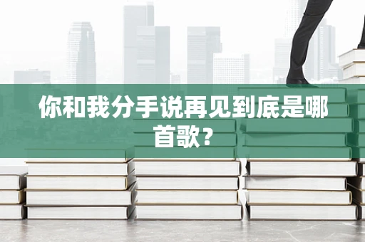 你和我分手说再见到底是哪首歌？