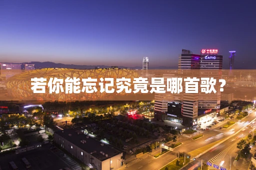 若你能忘记究竟是哪首歌？