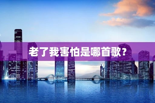 老了我害怕是哪首歌？