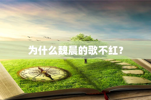 为什么魏晨的歌不红？