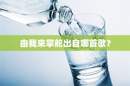 由我来掌舵出自哪首歌？
