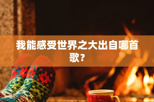 我能感受世界之大出自哪首歌？