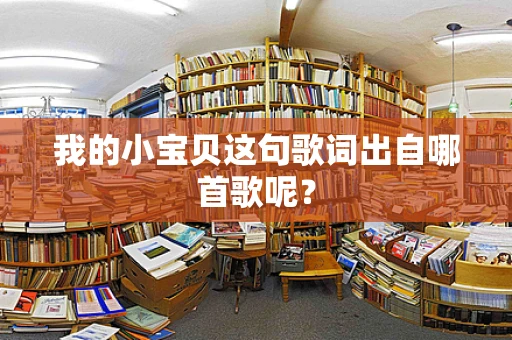 我的小宝贝这句歌词出自哪首歌呢？