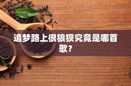 追梦路上很狼狈究竟是哪首歌？