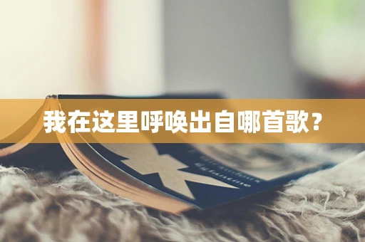 我在这里呼唤出自哪首歌？