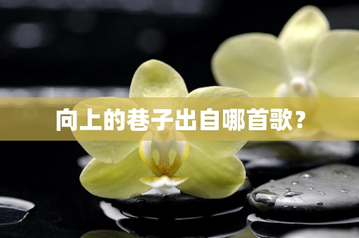 向上的巷子出自哪首歌？