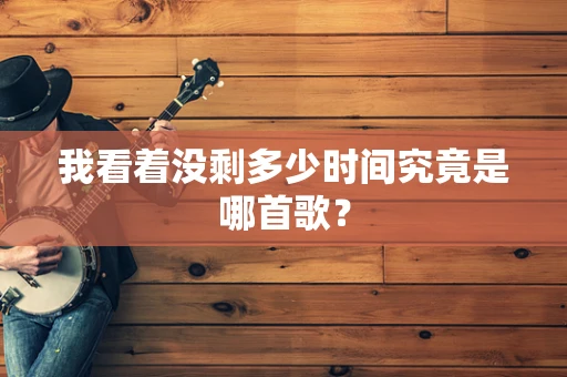 我看着没剩多少时间究竟是哪首歌？