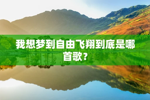 我想梦到自由飞翔到底是哪首歌？