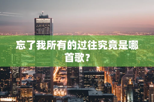 忘了我所有的过往究竟是哪首歌？