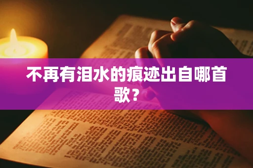 不再有泪水的痕迹出自哪首歌？