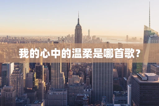 我的心中的温柔是哪首歌？