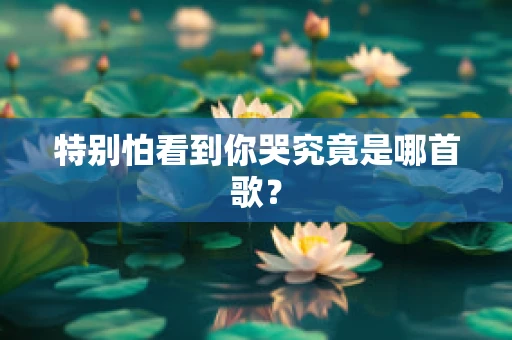 特别怕看到你哭究竟是哪首歌？