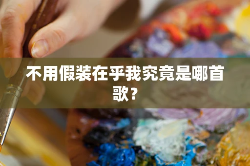 不用假装在乎我究竟是哪首歌？