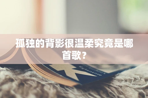 孤独的背影很温柔究竟是哪首歌？