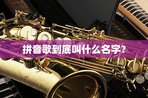 拼音歌到底叫什么名字？