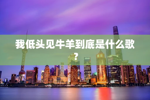 我低头见牛羊到底是什么歌？