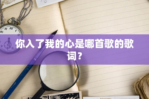 你入了我的心是哪首歌的歌词？