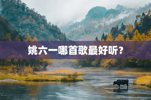 姚六一哪首歌最好听？