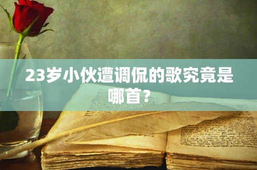 23岁小伙遭调侃的歌究竟是哪首？