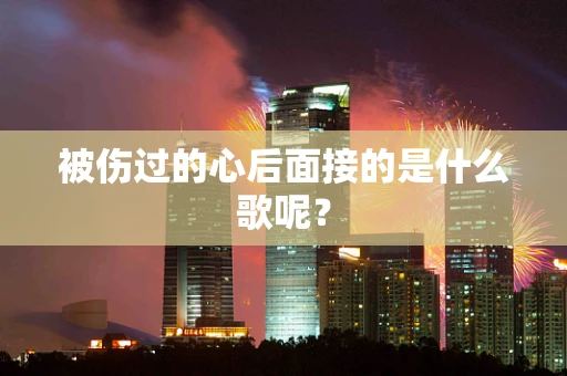 被伤过的心后面接的是什么歌呢？