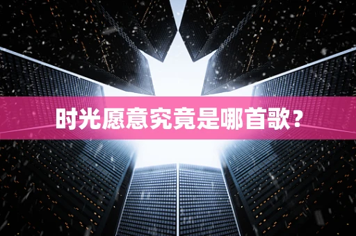 时光愿意究竟是哪首歌？