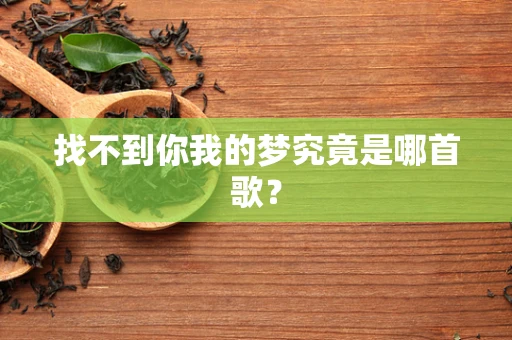 找不到你我的梦究竟是哪首歌？