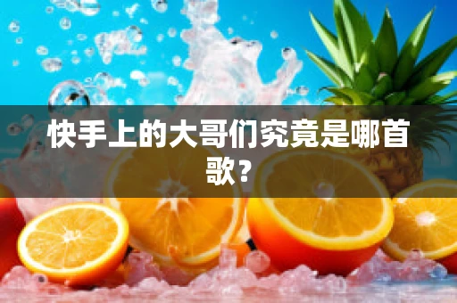 快手上的大哥们究竟是哪首歌？