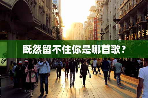 既然留不住你是哪首歌？
