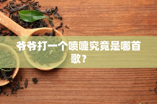 爷爷打一个喷嚏究竟是哪首歌？