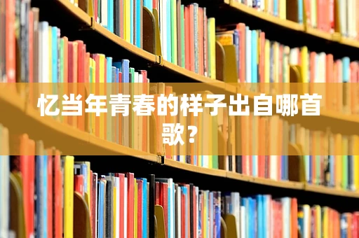 忆当年青春的样子出自哪首歌？