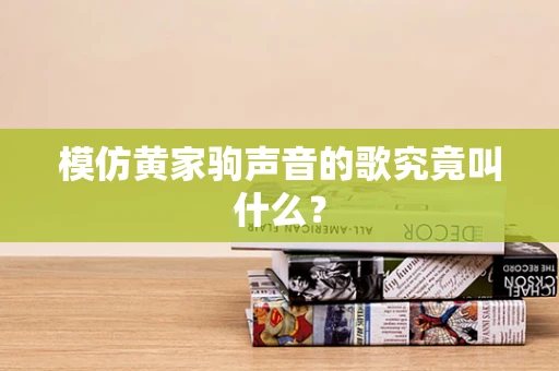 模仿黄家驹声音的歌究竟叫什么？