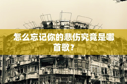 怎么忘记你的悲伤究竟是哪首歌？