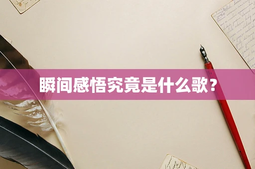 瞬间感悟究竟是什么歌？