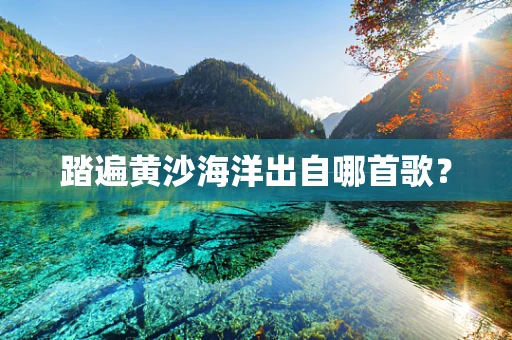 踏遍黄沙海洋出自哪首歌？