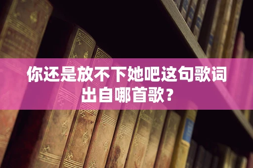 你还是放不下她吧这句歌词出自哪首歌？