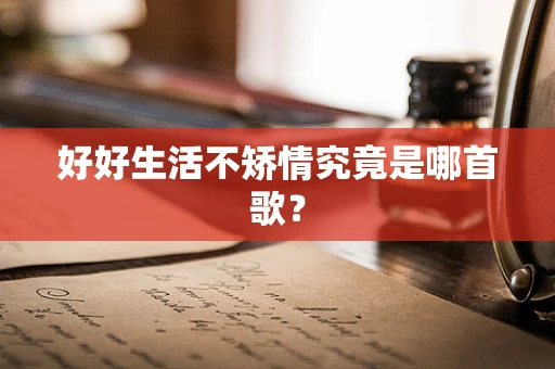 好好生活不矫情究竟是哪首歌？