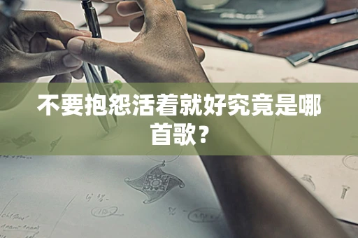 不要抱怨活着就好究竟是哪首歌？