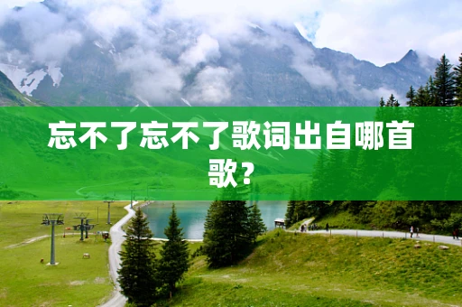 忘不了忘不了歌词出自哪首歌？